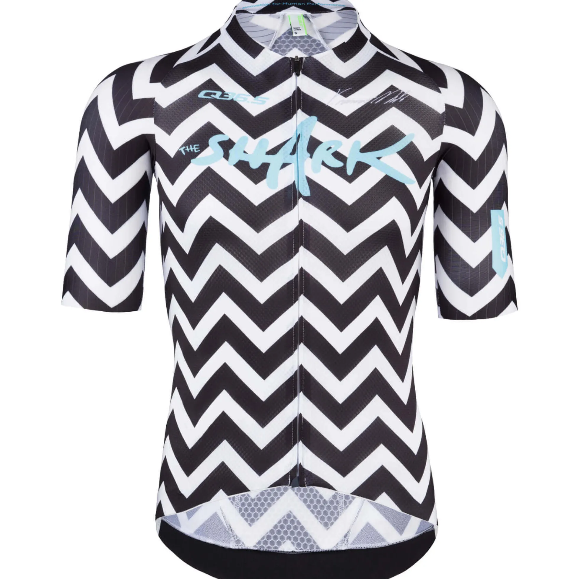 Maglia Q36.5 R2 Light - Nibali Shark