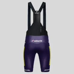 Salopette Gobik Wilier Vittoria 2025 Absolute Print K10